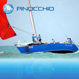 Pinnochio racing yacht charter sail in asia