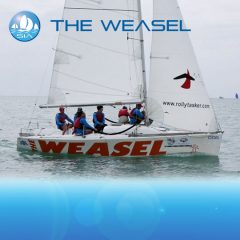 weasel-yacht-racing-asia-featured-image