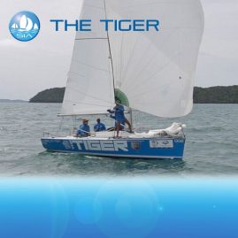 tiger-yacht-racing-asia-featured-image