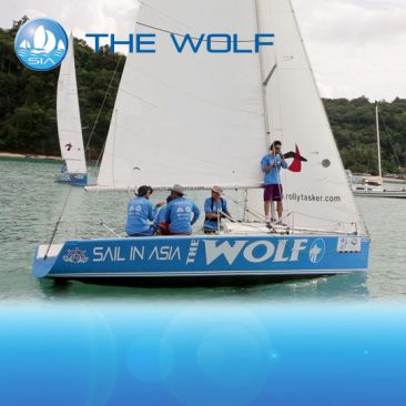wolf-yacht-racing-asia-featured-image